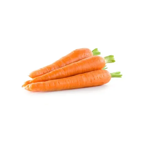 Carrot Tissue Infused Oil 1